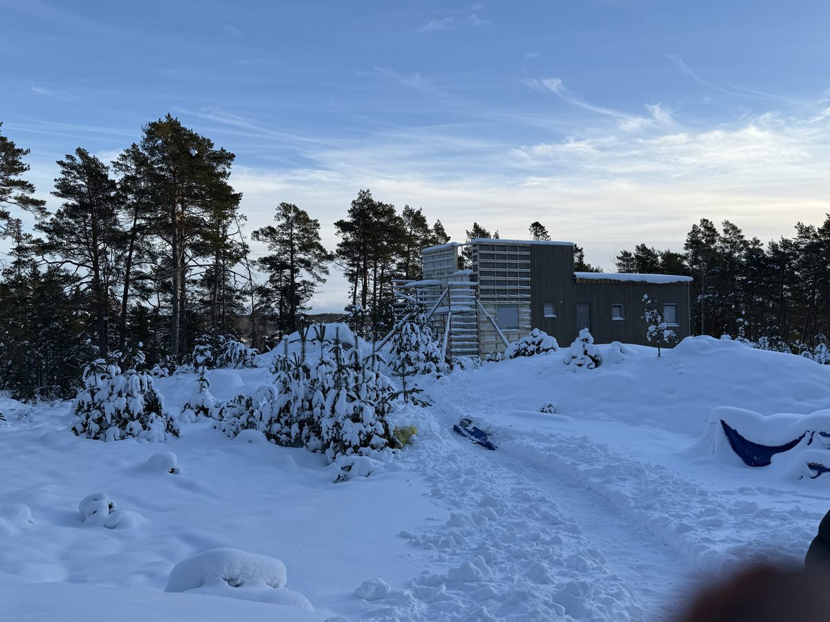 Tynningö in winter